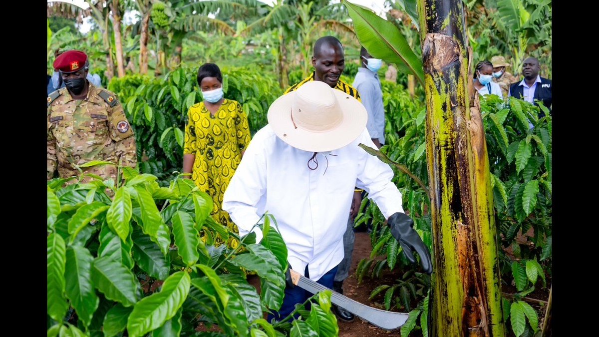 ruth8205's tweet photo. "Transformation comes through production and wealth creation."-President Yoweri Museveni 
#WhyUgDecidedM7 https://t.co/fF6u1mTmfa