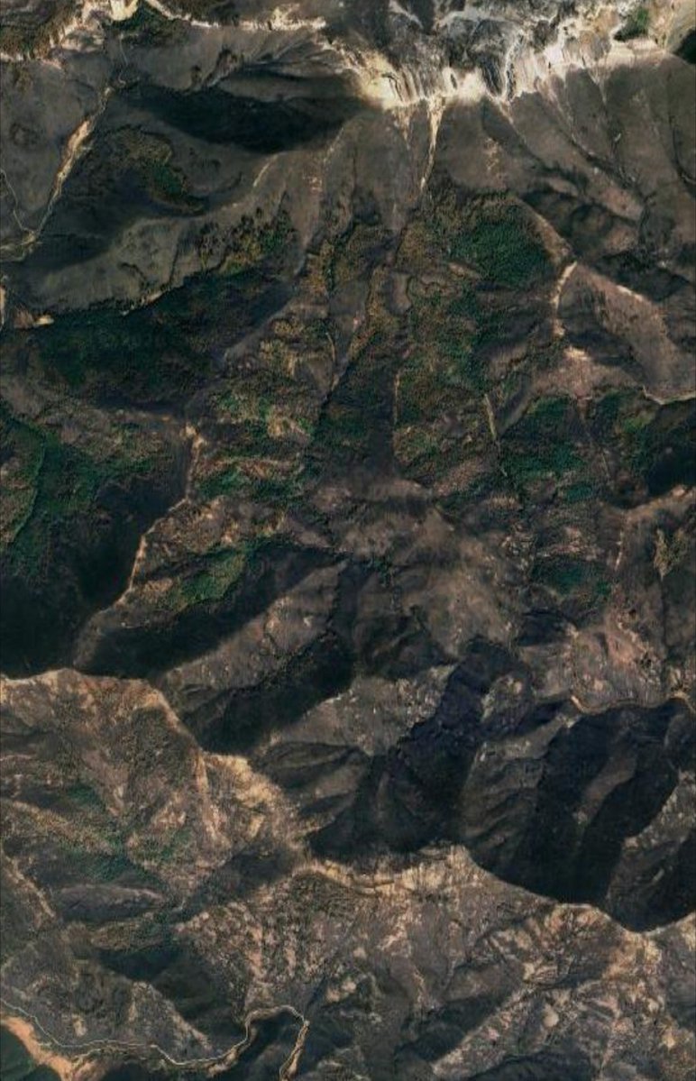 AntonioGalealba's tweet photo. El cambio climático no provoca incendios, los magnifica.
E implica que se desarrollen fuegos en ecosistemas donde difícilmente lo habrían hecho con el clima de hace 20 años.
Arden robledales, hayedos, castañares, pinares y pastizales por igual. 
Esta es la diferencia. https://t.co/mlDS6y1ehT