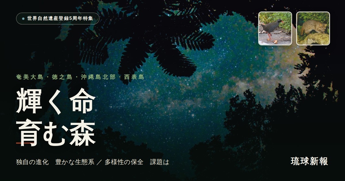 ryukyushimpo's tweet photo. 世界自然遺産に沖縄島北部や西表島が登録されてから5年になります。特集で振り返ります

【特集】輝く命　育む森　＜世界自然遺産・沖縄島北部、西表島、奄美大島、徳之島の登録から5年＞
#世界自然遺産　#動物・植物の話題　#環境
https://t.co/hHoG1SWlEn https://t.co/mTC8rvJ3fj