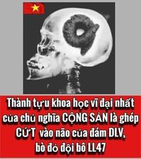 Verychuoi's tweet photo. @Mr_Haohn @VietPhiTrung https://t.co/8cfa2RNysM