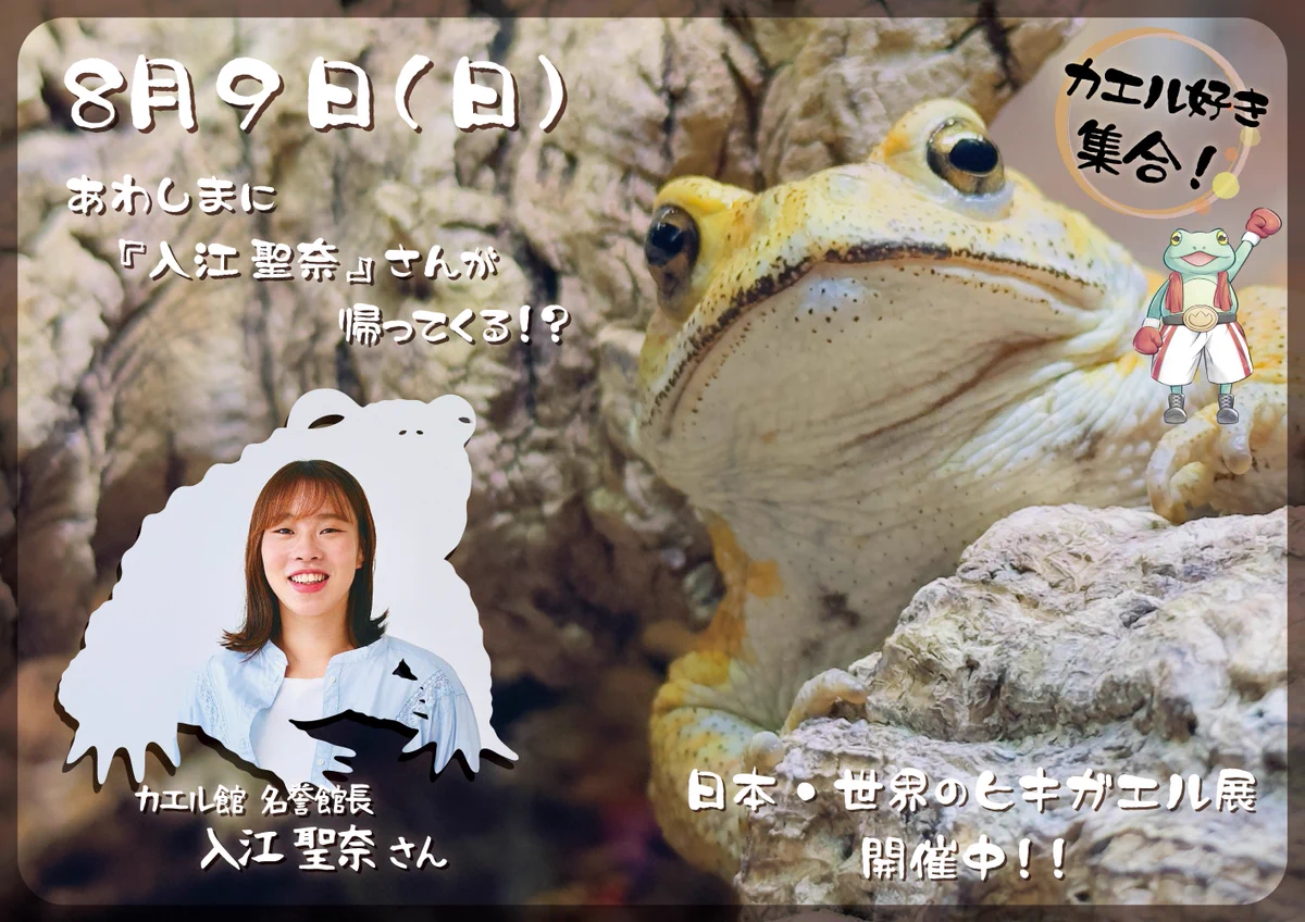 【中古】 予暇で自分を組みかえる X-এ しまたろう【あわしまマリンパーク公式】: 