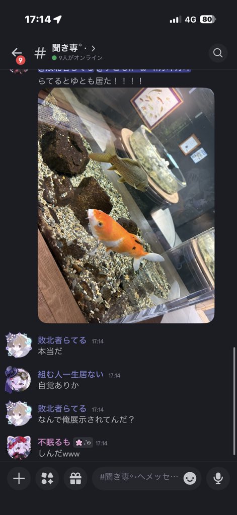るも tweet media