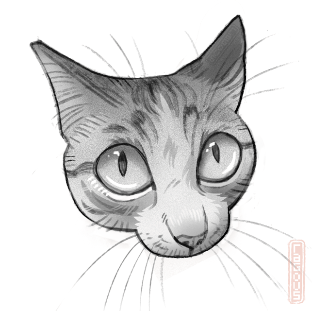 ragous_'s tweet photo. cat with approximately one brain cell https://t.co/m66vebbs2x