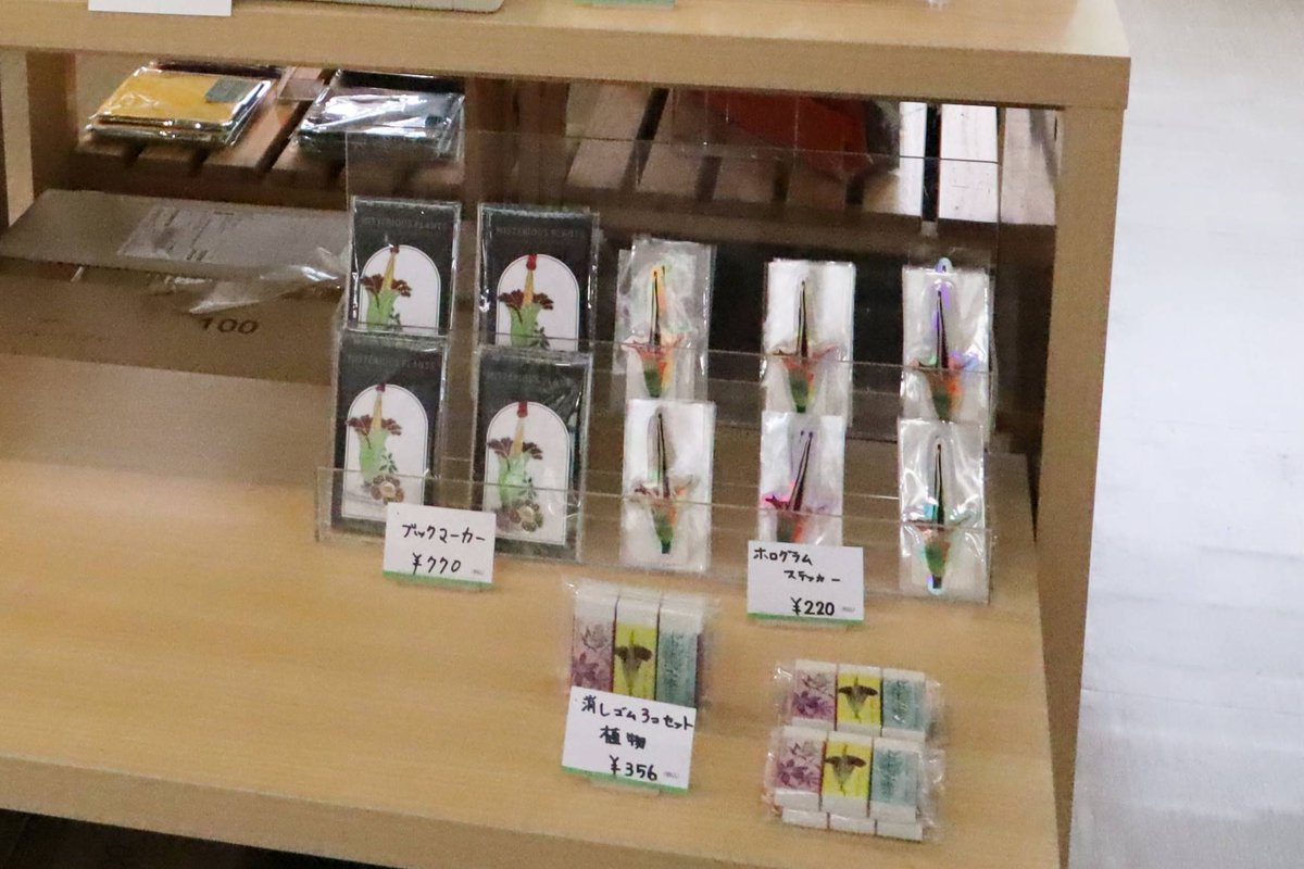 ezpress9999's tweet photo. 茨城県つくば市・筑波実験植物園・教育棟のミュージアムショップです。ショクダイオオコンニャクが7/23（木）開花したので、グッズがいろいろあります。月曜休園。
一般・大学生320円、小・中・高校生・65歳以上無料。
https://t.co/nTwVJHcCeC https://t.co/SQCaLzBv8U