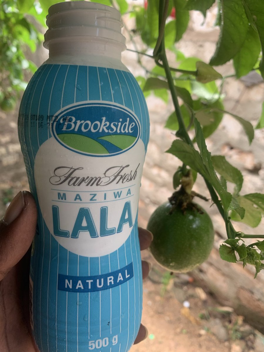 Saladi_Ben's tweet photo. This will treat all your ulcers infections. https://t.co/74dyobDypW