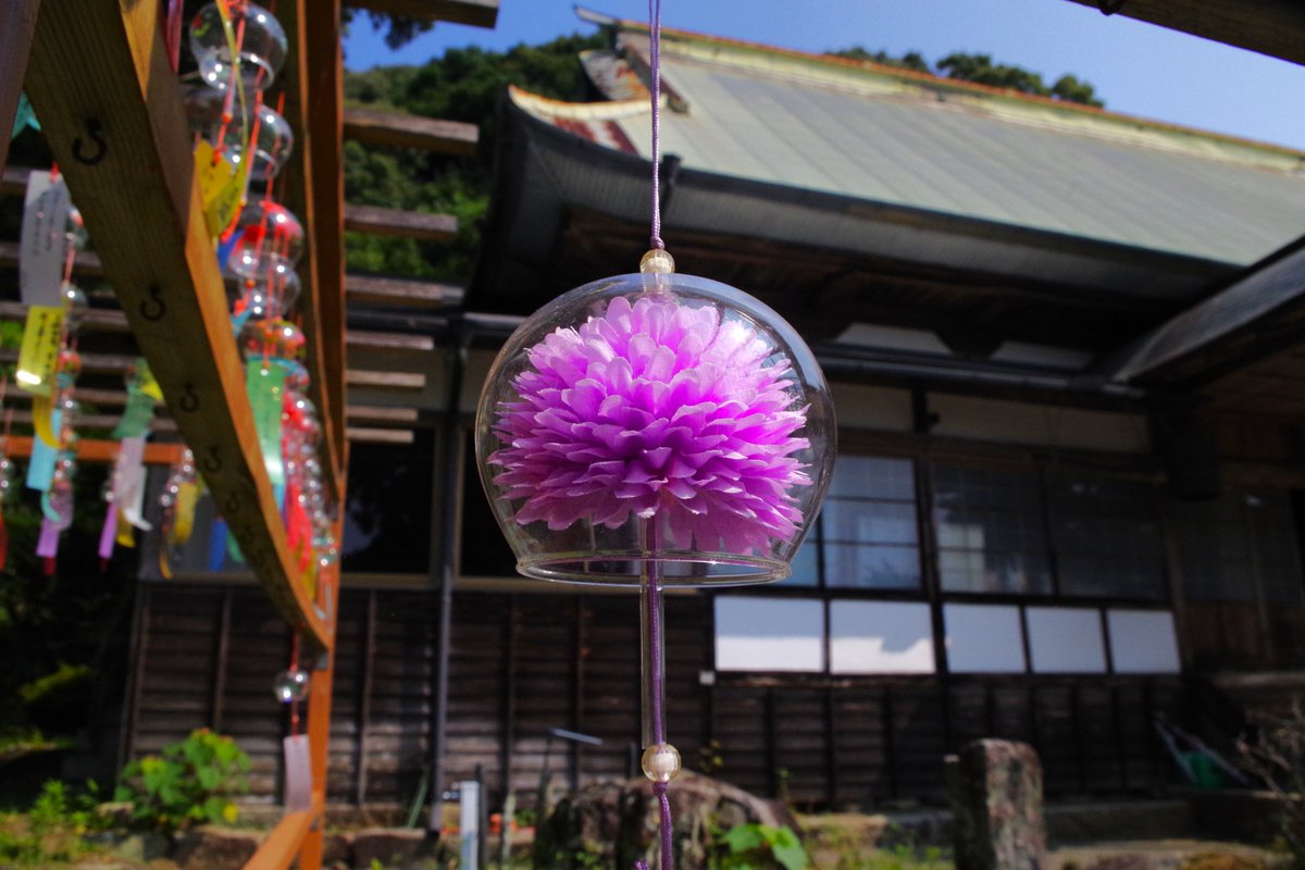 s540817sa's tweet photo. 今日も暑かったです。猛暑日６日連続になりました!!
石水寺の風鈴🎐
蒸し暑い時に音色を聞くと癒されますねー!! https://t.co/pJ5e6BUQ95