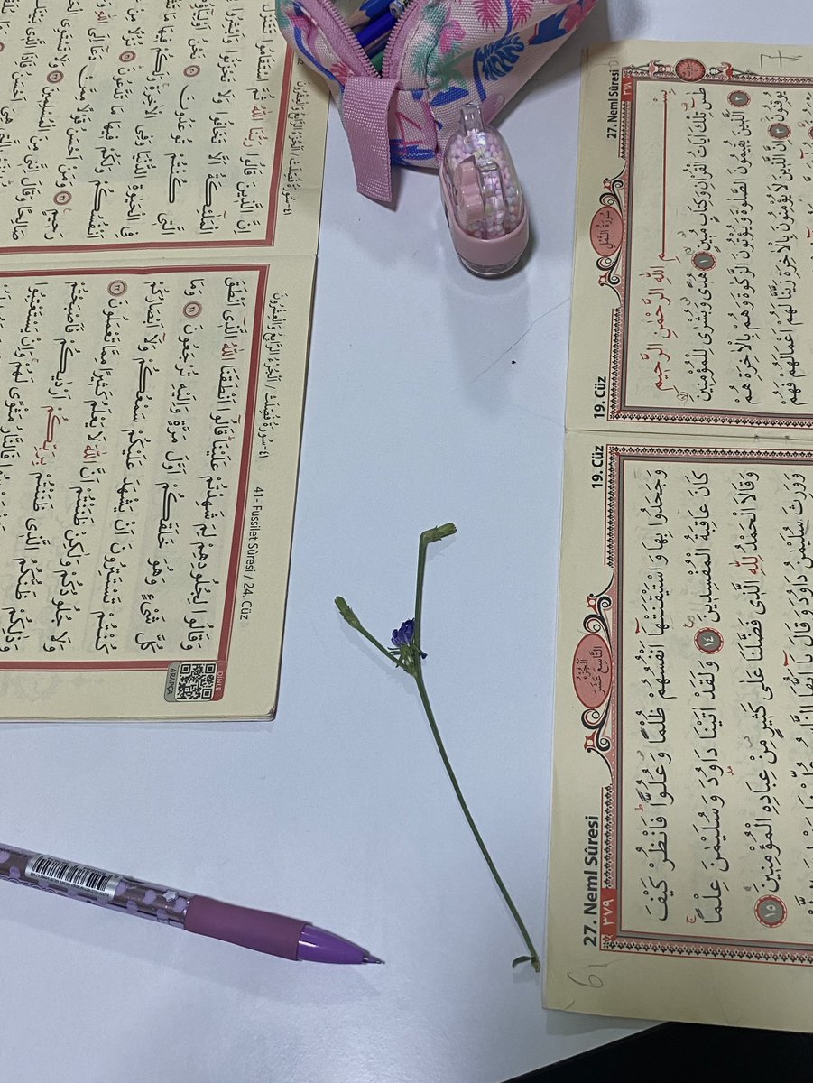suuheyyla's tweet photo. temmuz çiçekleri alındı mı kızlar https://t.co/nIgiGWZEmy