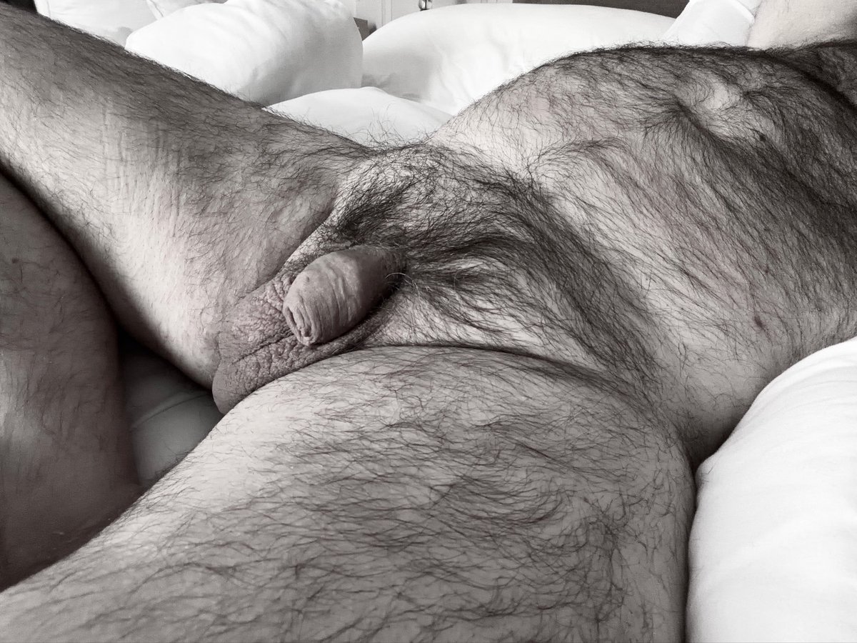 Harold1241734's tweet photo. Duvet days are just the best … have a fab weekend guys 😋

#furryfridays #duvetdays https://t.co/rMtQAPYJye