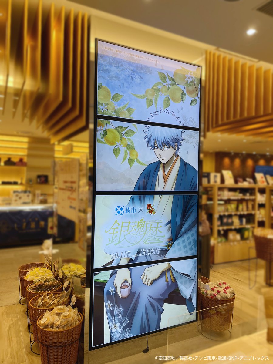 hagi_burari's tweet photo. ＃萩市 ×「＃銀魂 」コラボ【＃銀魂暦 】🍊
 
日比谷しまね館にて開催いたします「萩・石見空港フェア」にて
コラボイラストをサイネージに放映いたします！ぜひお越しください！

放映期間：7/25(土)・26(日)

日比谷しまね館：https://t.co/Fv0AxYyLzw
コラボイベント：https://t.co/GASFleQMPU https://t.co/8GN6vCB7pO
