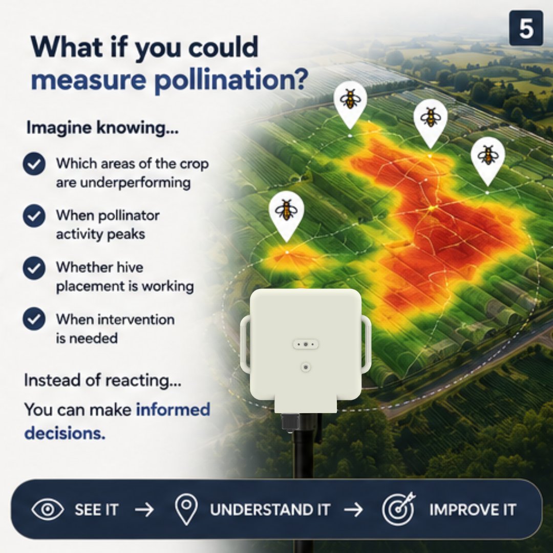 AgriSoundTech's tweet photo. 🍓 The biggest yield loss on your farm might not be what you think.
Research suggests suboptimal pollination can reduce yields by 20–40%.
Pollination shouldn't be left to guesswork.
#PrecisionPollination #AgTech #Agriculture https://t.co/QRxEnnuswB