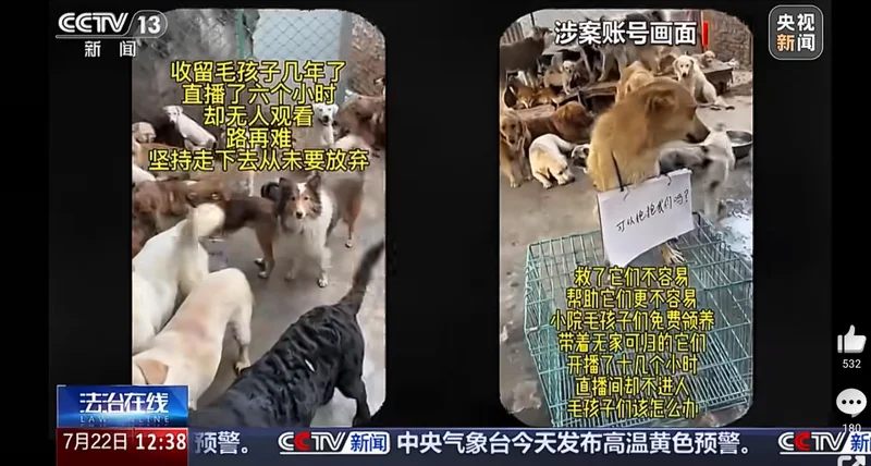 280922michi_12's tweet photo. 捜査では、グループが犬の足を故意に折り、
ゴミ捨て場へ放置した上で「救出する様子」を
撮影していたことも判明しました。
撮影後には
「このけがをした犬は後でまた使える」と話し、
同じ犬を何度も利用して
新たな「救助ストーリー」を
作り上げていたということです。 https://t.co/wXT2Ai7N1C