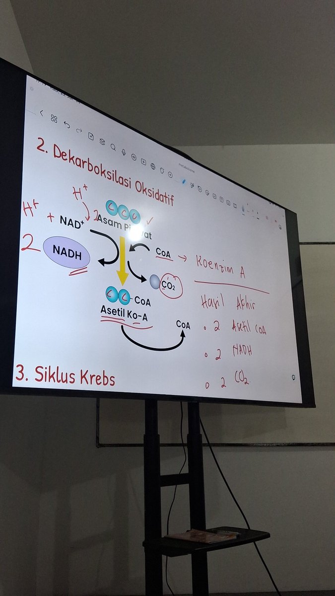 lalaugm0_0's tweet photo. idk, i keep blaming myself cz tiap biologi bener" gapaham, walau udah coba nyatet, baca materi, sampe nyoba banyak guru/mentor.. tetep gabisa :( walau tka ga ambil bio dan ambil jurusan selain bio.. i'm still sad cz it feels like everyone can understand it except me.. 😔 https://t.co/rynX7TMiUE