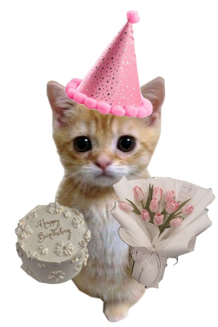 yay___S2's tweet photo. @summer__z 헐헐 웅니 생일축하해!! 이 세상에서 오늘 만큼은 제일 행복하고 기분좋은 하루 보내길 바라🫶🏻🩵 https://t.co/qxMiUBp3QX