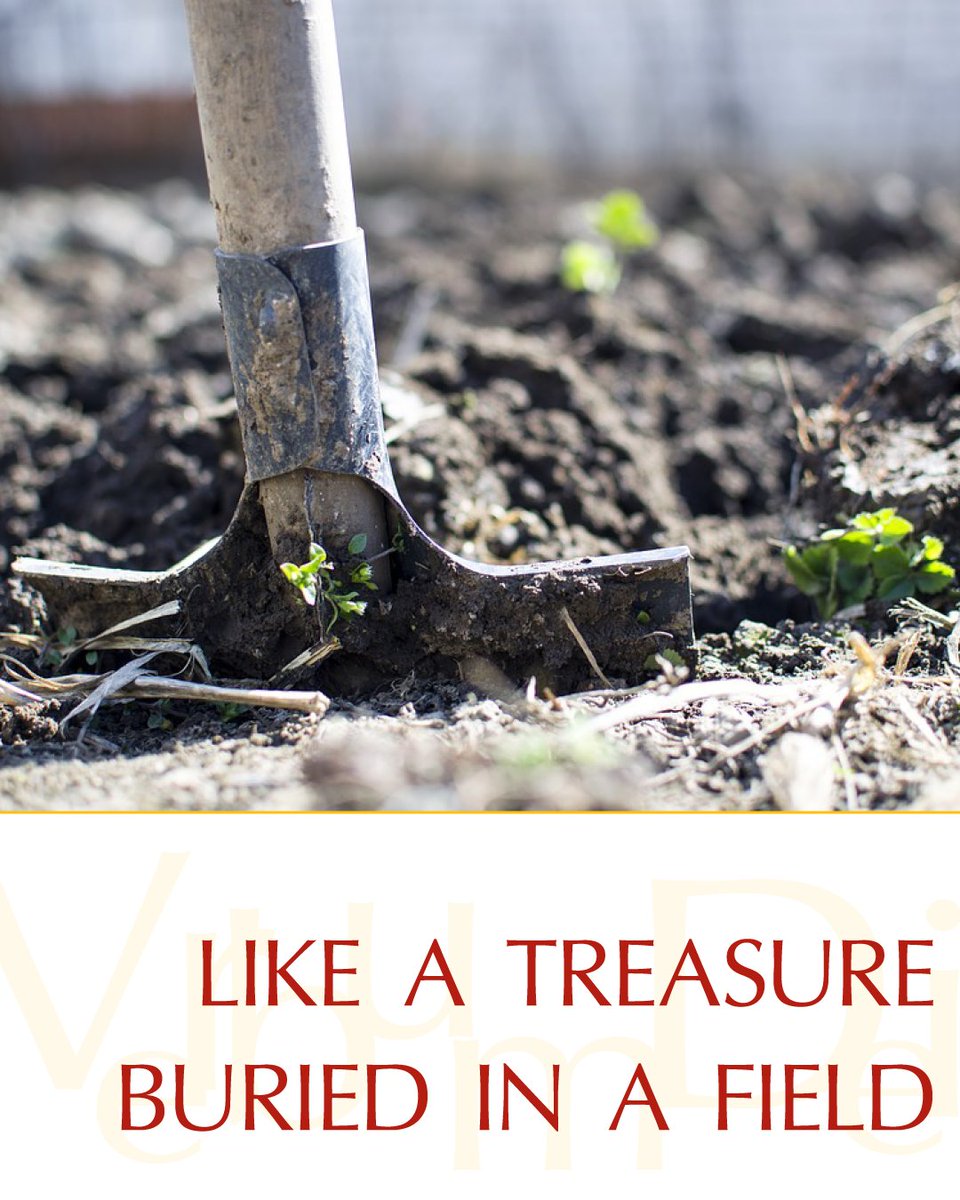 VaticanNews's tweet photo. Gospel of the Day (Matthew 13,44-52)

Jesus said to his disciples: “The Kingdom of heaven is like a treasure buried in a field, which a person finds and hides again, and out of joy goes and sells all that he has and buys that field.
Again, the kingdom of heaven is like a merchant searching for fine pearls.
When he finds a pearl of great price, he goes and sells all that he has and buys it".
Again, the kingdom of heaven is like a net thrown into the sea, which collects fish of every kind.
When it is full they haul it ashore and sit down to put what is good into buckets. What is bad they throw away.
Thus it will be at the end of the age. The angels will go out and separate the wicked from the righteous
and throw them into the fiery furnace, where there will be wailing and grinding of teeth.
Do you understand all these things? They answered, "Yes."
And he replied, "Then every scribe who has been instructed in the kingdom of heaven is like the head of a household who brings from his storeroom both the new and the old."

https://t.co/tJdCjtkoXI