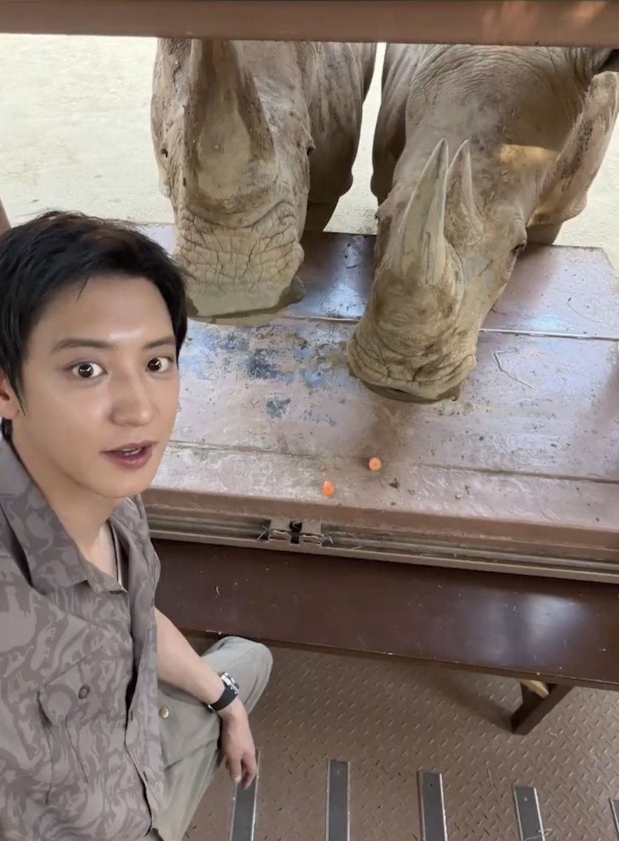 no_loey_no_life's tweet photo. Chanyeol’s selfie with the giraffes and rhinos 🤍 https://t.co/mBcGNlhVjZ