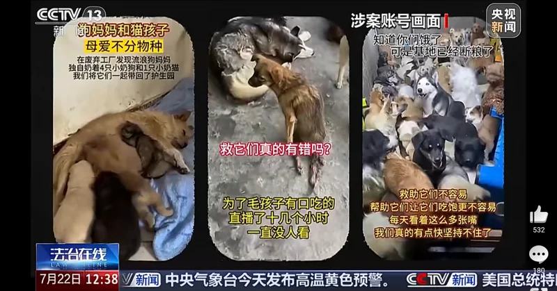 280922michi_12's tweet photo. 捜査では、グループが犬の足を故意に折り、
ゴミ捨て場へ放置した上で「救出する様子」を
撮影していたことも判明しました。
撮影後には
「このけがをした犬は後でまた使える」と話し、
同じ犬を何度も利用して
新たな「救助ストーリー」を
作り上げていたということです。 https://t.co/wXT2Ai7N1C