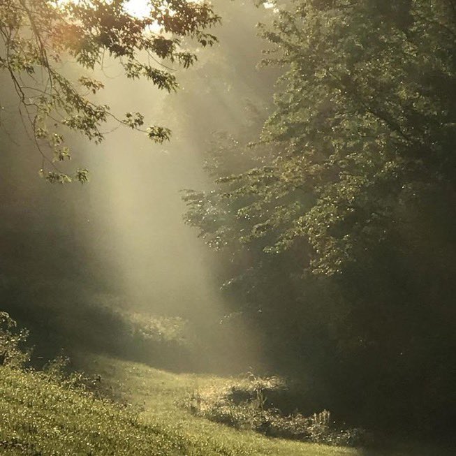 _Naturaee's tweet photo. It feels like fairies live here. https://t.co/ovJ689fI8D