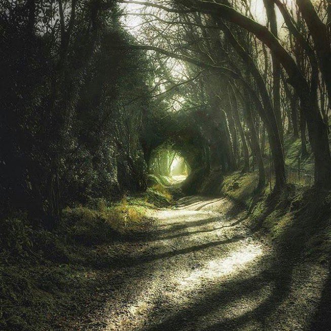 _Naturaee's tweet photo. It feels like fairies live here. https://t.co/ovJ689fI8D