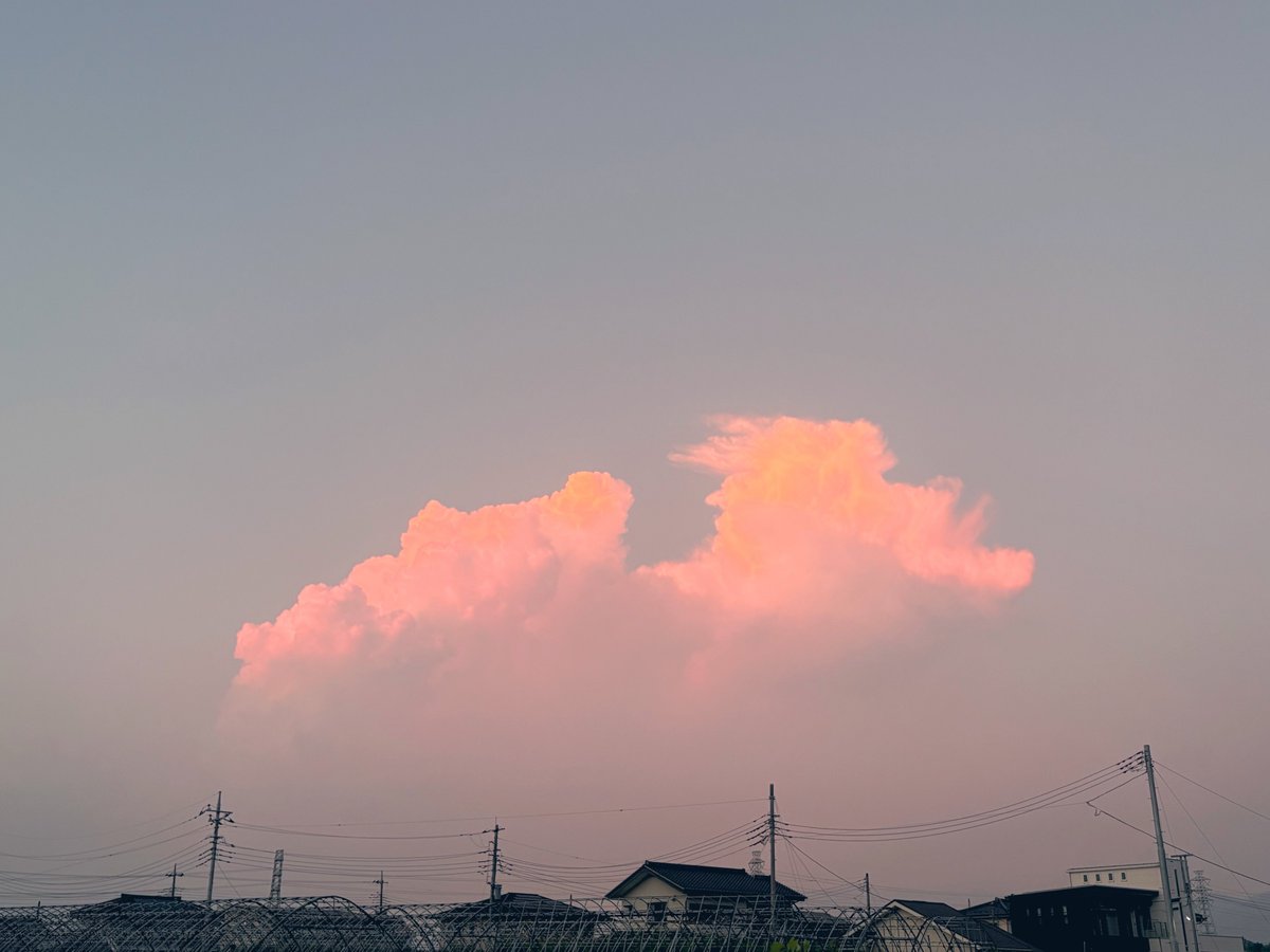 gane_peko's tweet photo. 東の高いモクモク雲が夕日に染まってるの好き
#イマソラ https://t.co/nueHFuo6VA