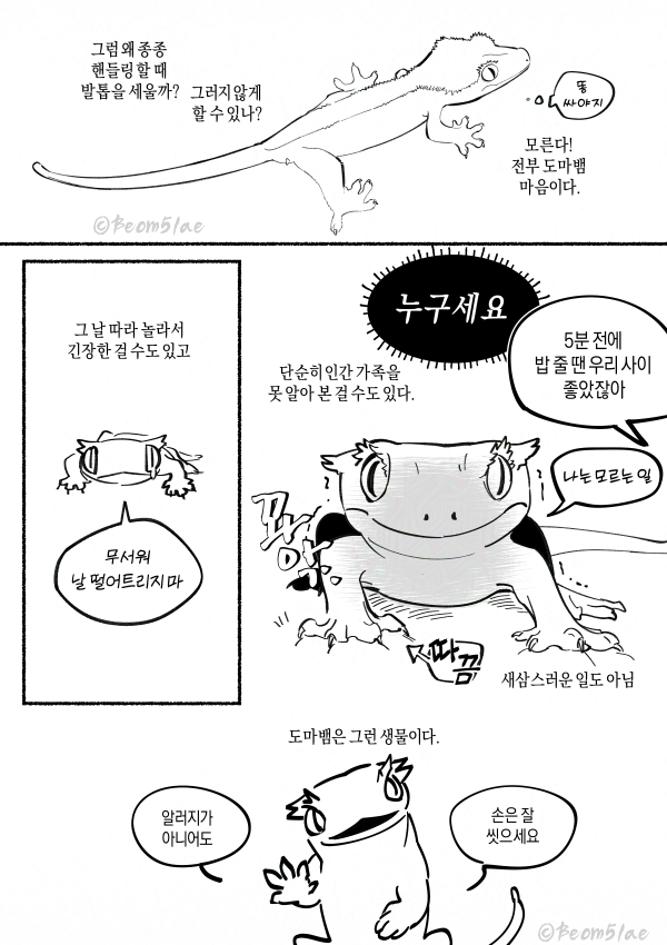 Beom5lae's tweet photo. 도마뱀 발톱 말이에요 https://t.co/i1P9Go6To4