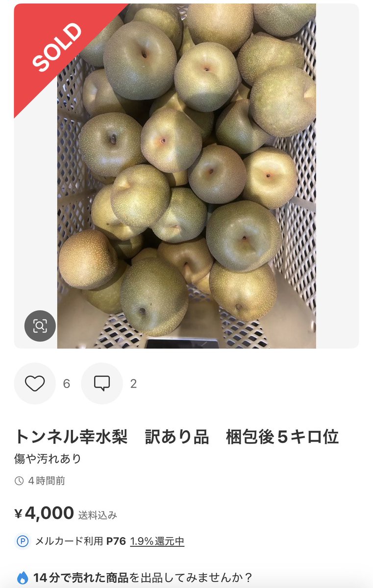 6Cvv6Y4UTystjcx's tweet photo. @The_Darenogare メルカリに怪しい出品ありました。
農園名を聞いても教えてもらえません。
手間暇かけて大切に育てた梨を、収穫直前に盗むなんて。絶対に許せません。 https://t.co/yZ4cuGubde