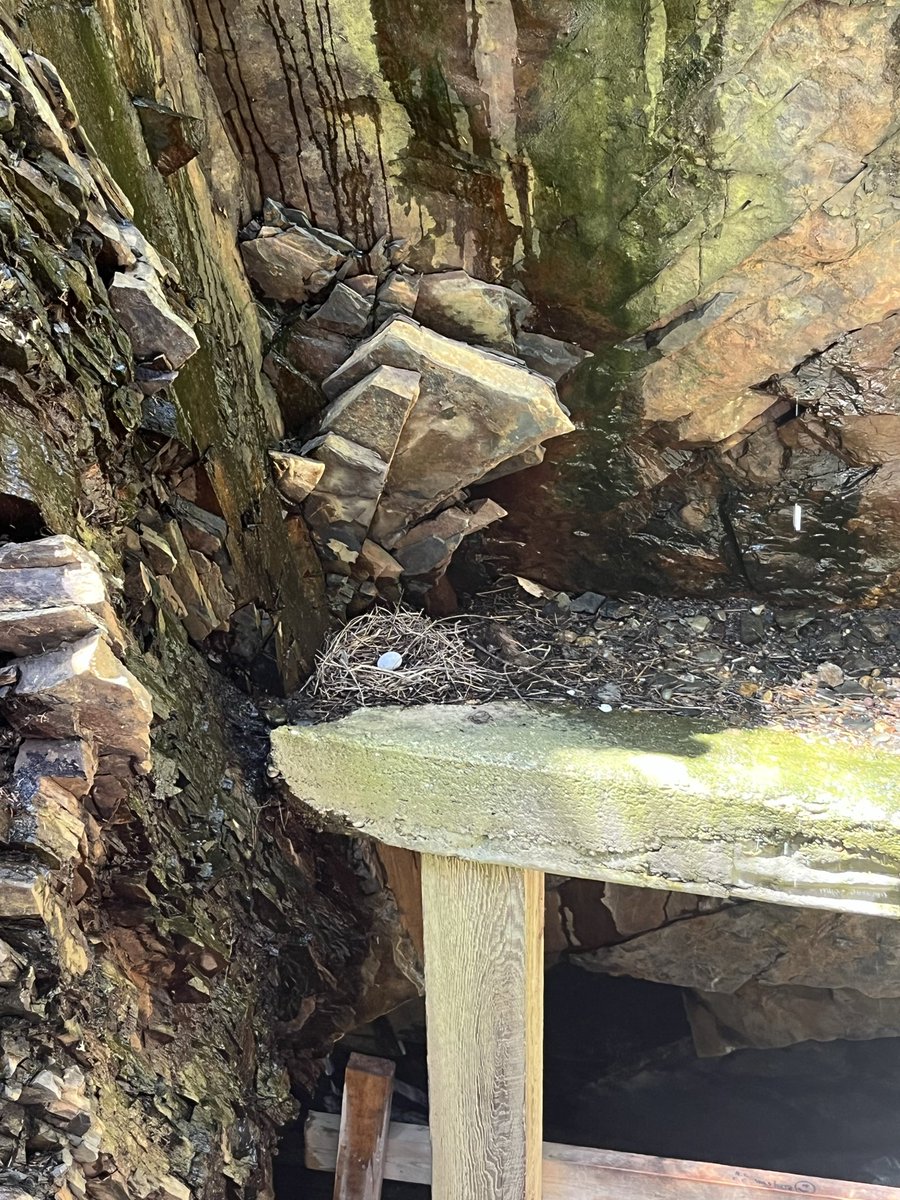 qtaylor2000's tweet photo. Anyways we went to the caves by the sea and it was cool https://t.co/KSRrfwJrya
