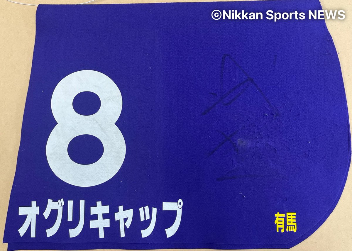 あのレースだけは、何回見ても泣きそうになる」 太田記者@nikkan_ota
