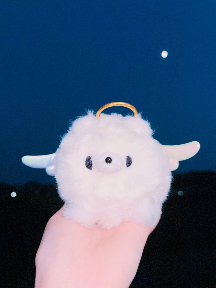 usagi planet (@PlanetUsagi) / Posts / X