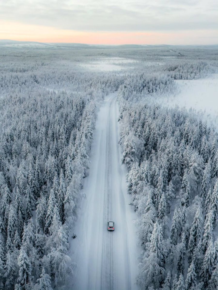 flower6260's tweet photo. White Beauty of Finland 🇫🇮 https://t.co/67oAvPUw1Z