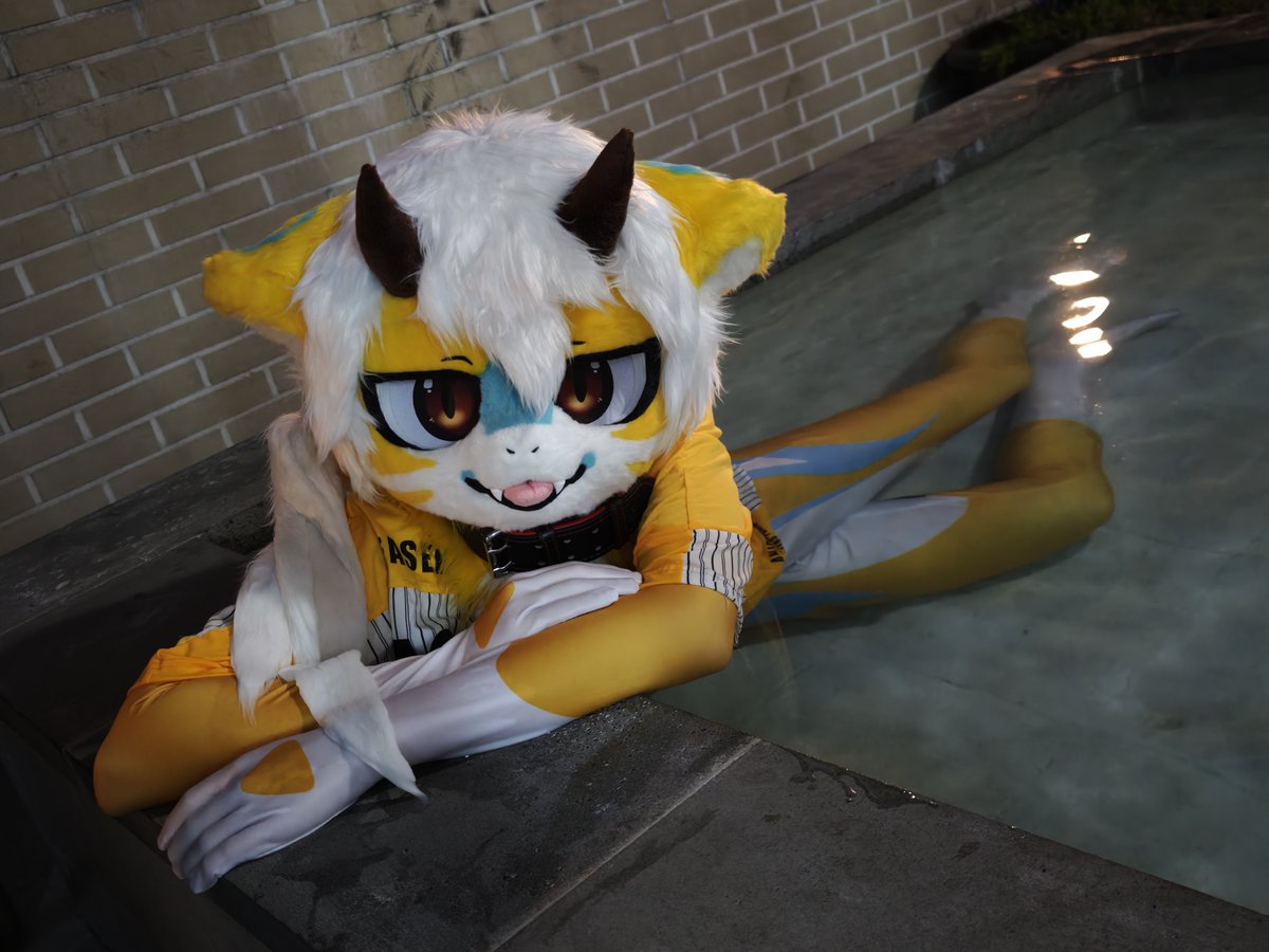 Limo_fur's tweet photo. #FursuitEverday https://t.co/deydAAXyAt