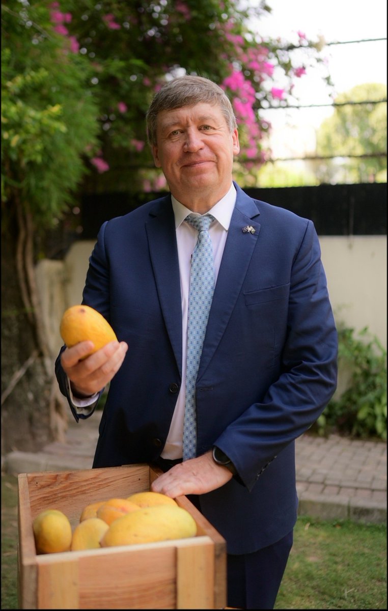 EUPakistan's tweet photo. Nothing beats the taste of Pakistani mangoes - the king of fruits.

Loved for their aroma &amp; taste, more Pakistani mangoes are reaching European consumers straight from local farms, with 🇪🇺 support.

@KaroblisR &amp; his team at EU Delegation have been enjoying 🇵🇰 mangoes this summer. https://t.co/ra8XyOS0MT