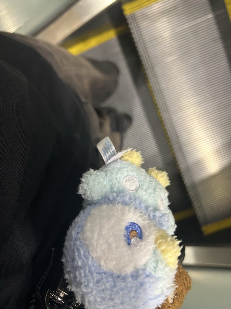 z0_ygb's tweet photo. バッグにポッチャマつけたかわいい https://t.co/XZqjSFSNr7