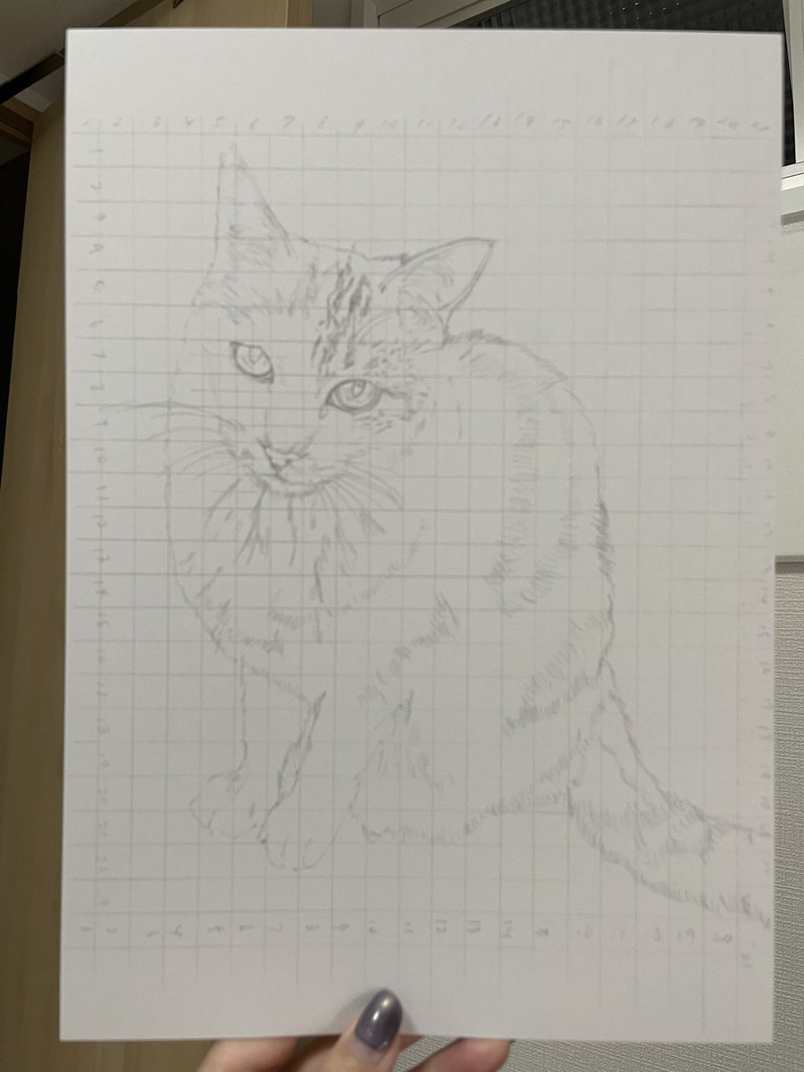 新しいこ、描き始めました。 今日からよろしくね😽 #wip #色鉛筆画