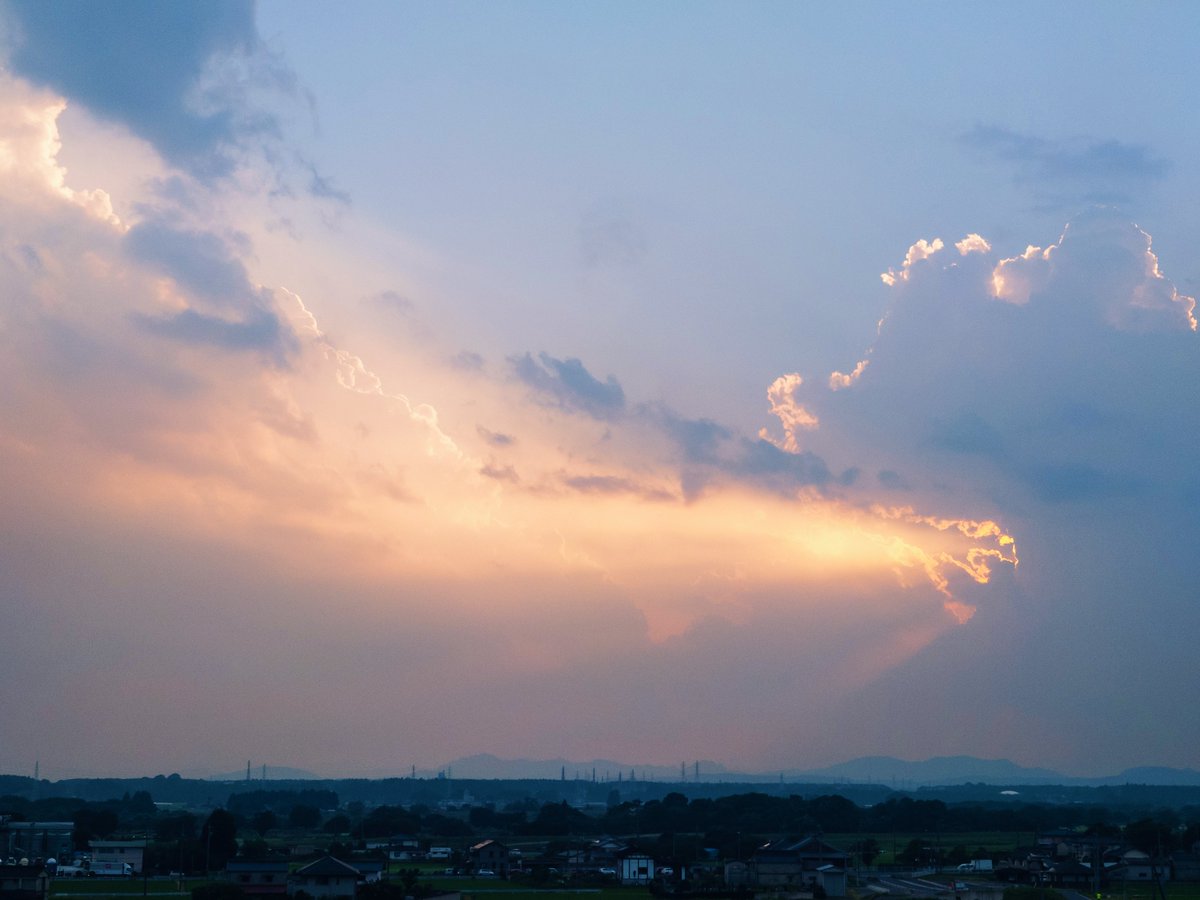 netsuki_k's tweet photo. この後 ゴロゴロと鳴り出して
ザーザーと降ってきた
どうにも夏らしい

#スナップ写真 #Xperia #キリトリセカイ #写真好きな人と繋がりたい https://t.co/GUBDyXMFK0