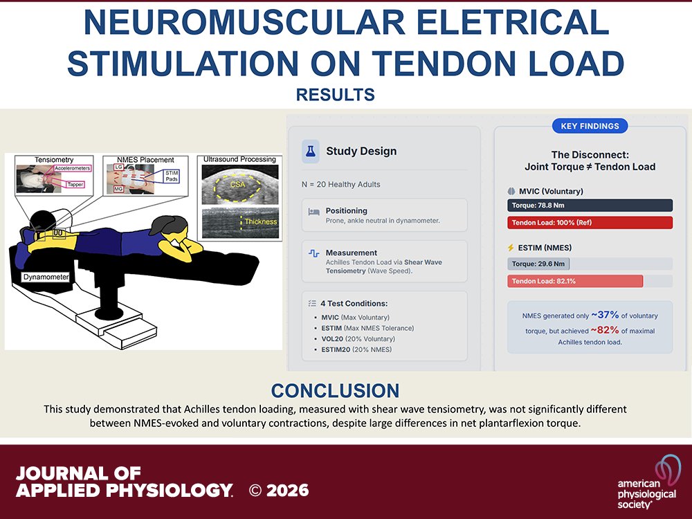 japplphysiol's tweet photo. Research Article by @duriganjl et al. (@UDelaware) Effects of #neuromuscular #electricalstimulation on #Achillestendon load
https://t.co/Rc6yQmSGli https://t.co/dZbTbAMsIc