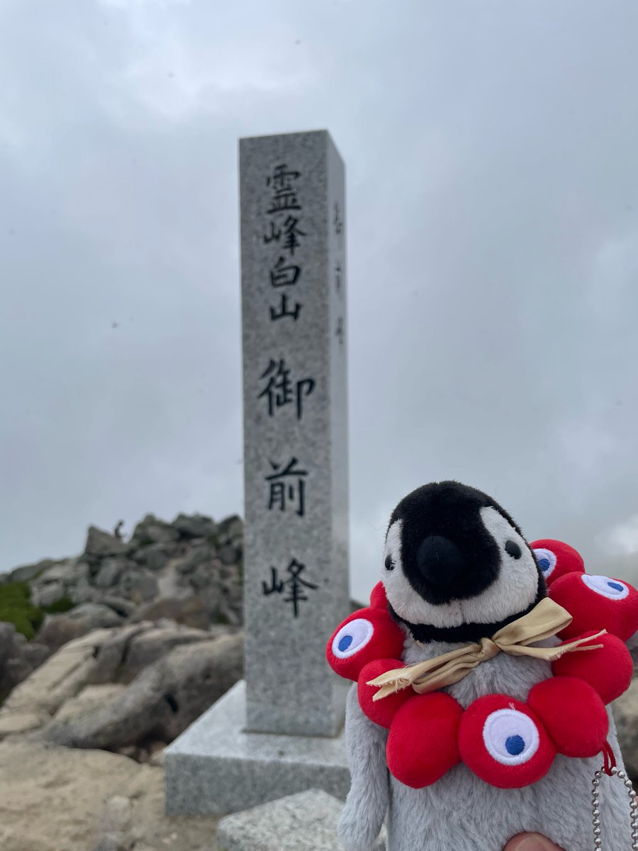 Dyer_Studio's tweet photo. 白山登ってきた！！
三大霊山の一つらしいです！！ https://t.co/IVcfQMKQaG