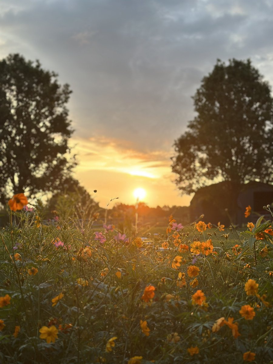 EricaArndts's tweet photo. Good morning from Ohio 💛 https://t.co/1UwRZmjv5x