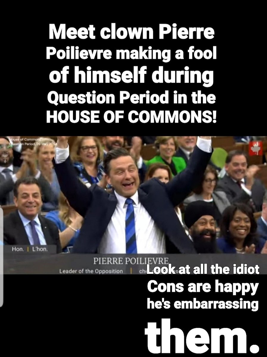 VsDemocracy's tweet photo. @Victoria59L That's a stupid Conservative shit weasel question! Go kick  some rocks barefoot hard with your big toes! 😂😂😂 #RealFreeSpeech mf #CanadaisLiberal #cndpoli #Albpoli https://t.co/gMRTGRDnOt