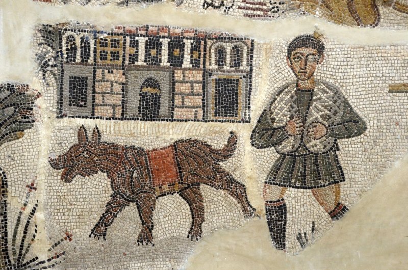 RPH969's tweet photo. Mosaic of the return of the hunter and his dog, circa 2nd century AD; on display at the Archaeological Museum of Constantine, Algeria. 

#Algeria #Numidia #Mosaic https://t.co/RHXEz7C5W5