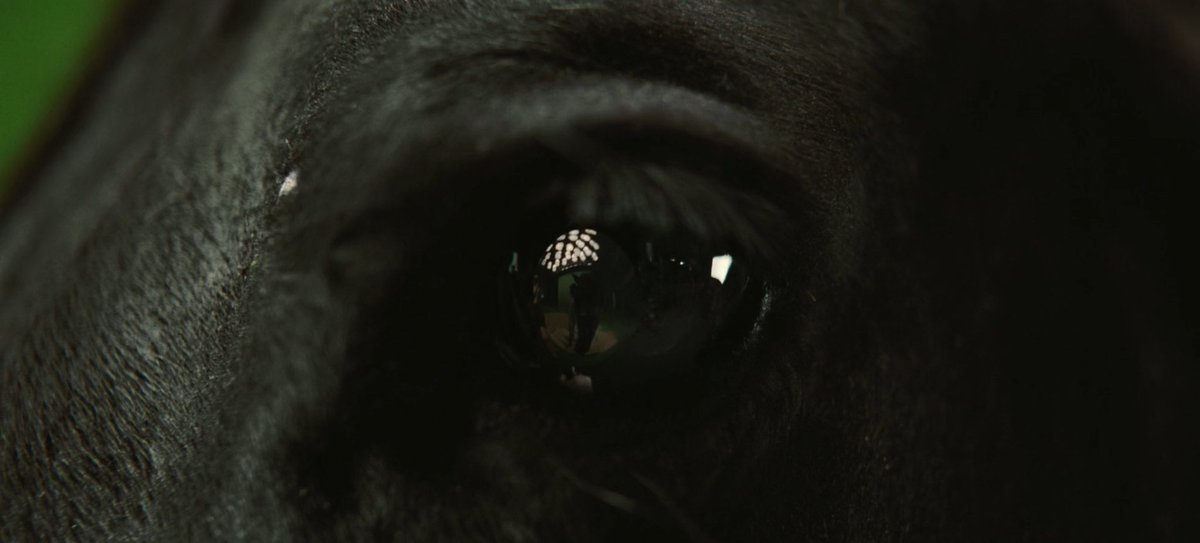 CultureCrave's tweet photo. Jordan Peele's 'Nope' was released 4 years ago today 🛸 https://t.co/WnxkFRTLS7
