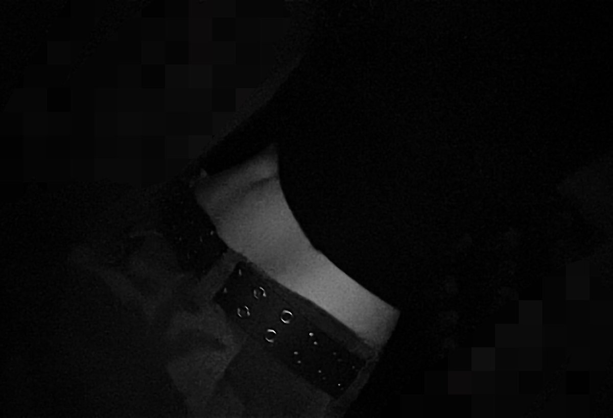 Angel_lex524's tweet photo. Bc // 

I guess i look alright. i’ve been fasting for about a day now https://t.co/711nki0Lkn