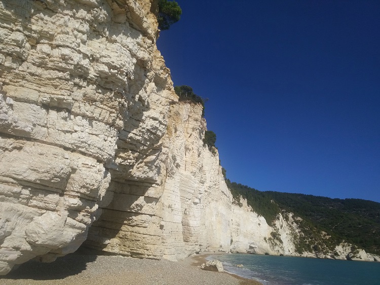 SonoitaliaInfo's tweet photo. #APULIEN - #Gargano: der #Wanderweg Sentiero Natura zwischen #Vignanotica und #Baia delle #Zagare 👉https://t.co/rbyr7HCghi @garganolab2_0 @gargano_it @CiaoNico https://t.co/8sR0BPrBlH