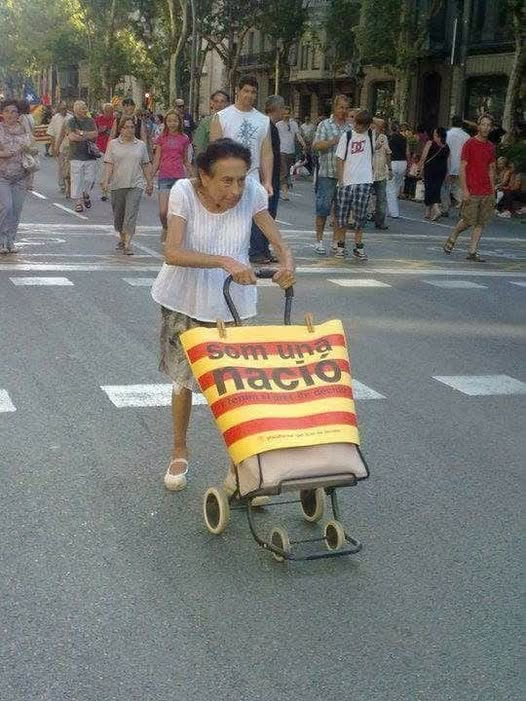 agusti_argimon's tweet photo. Avui el senyor feisbuc m'ha permès recuperar una foto que vaig fer a la gran manifestació de juliol de l'any 2010 (foto que em va emocionar). Per a aquesta persona, per a les que ens han deixat i per a tots nosaltres, ens regalarem la victòria. Guanyarem !!! https://t.co/x3vBAn4Gd9