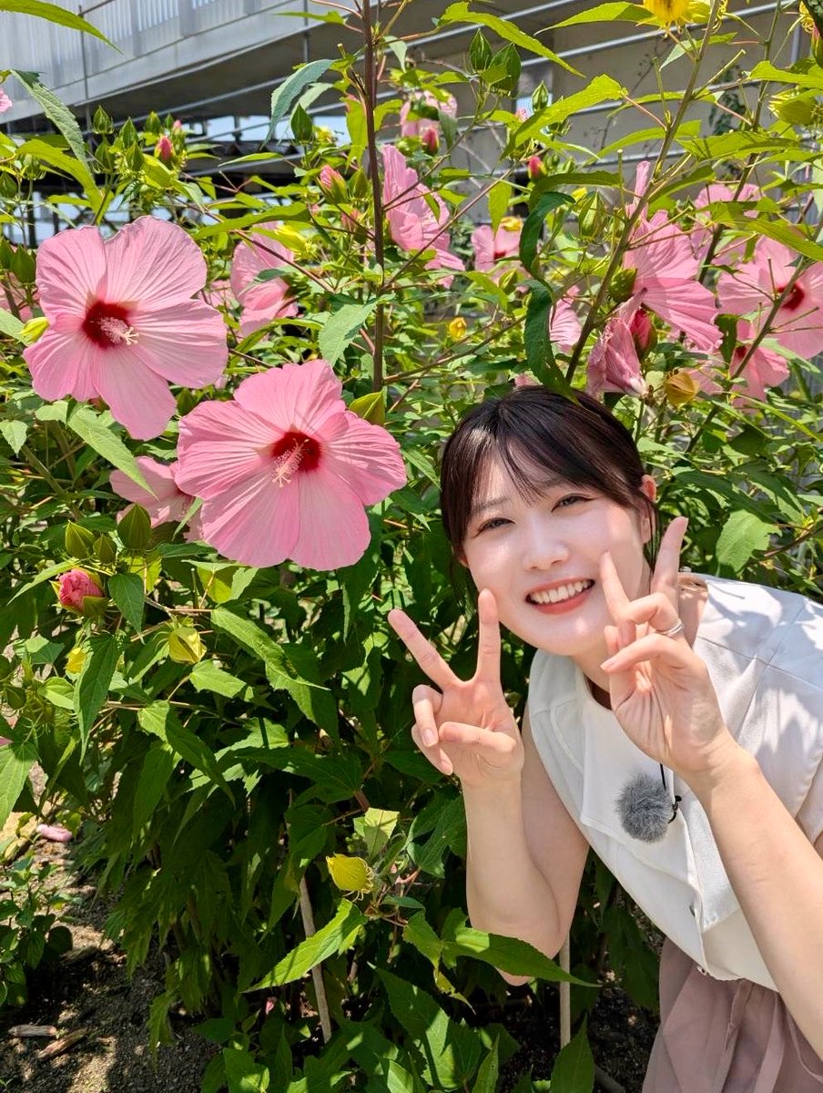 mucchan_0101's tweet photo. 今週金曜日の #さわやかモーニング は
夏のフラワーランドの楽しみ方を
ご紹介します🌈

夏休みのお出かけに🌞
お子さまにぴったりの昆虫展の話題も！
ぜひご覧ください👀📺✨

#やまぐちフラワーランド  
#柳井市 https://t.co/VmFH9FKbpt
