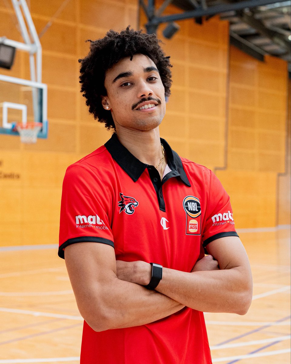 Perth Wildcats tweet media