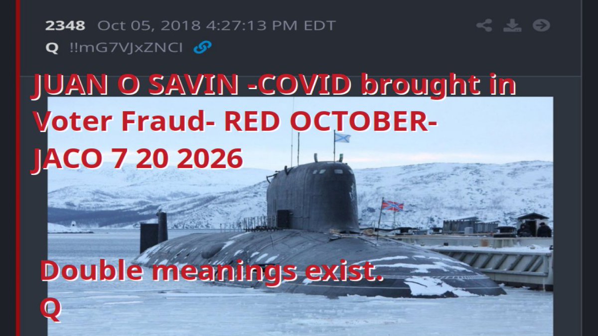 Juan O Savin 107 tweet media