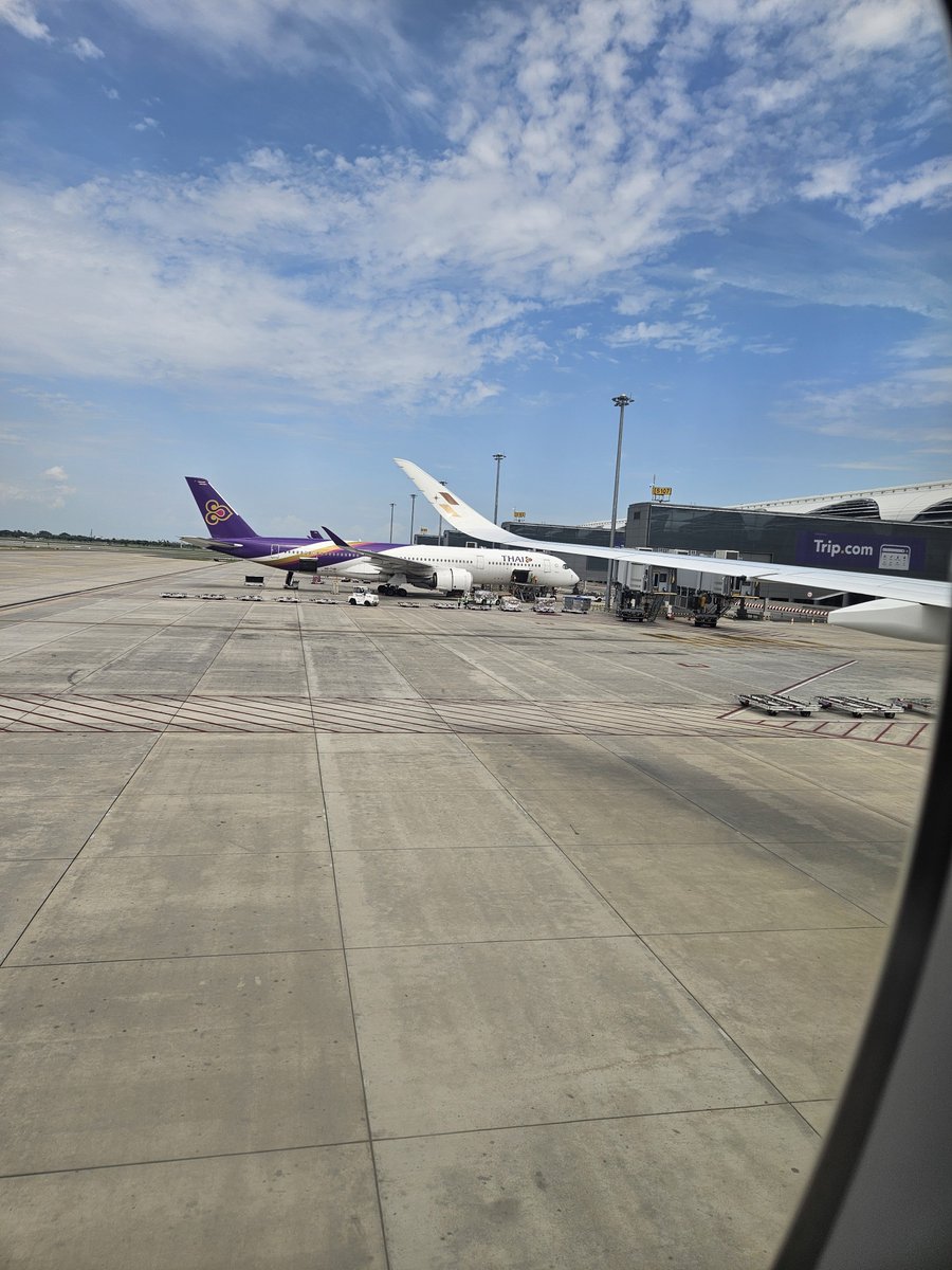 brainbusterrrr's tweet photo. タイの旅は今日で最終日、パインちゃんは朝から機嫌が悪かったが、空港でアイス食べたら良くなった！wタイは本当にいい国やな...いつかタイのローカル電車乗って田舎でも行きたい✌️ https://t.co/y8ezER2v0f