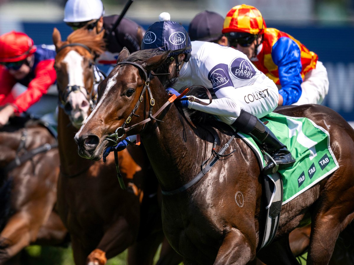 mmsnippets's tweet photo. 📣 News: A 5% share in the multiple G1-placed 3YO filly Within the Law (Lot 53) was highly sought after in today's Magic Millions Digital (17-22 July) Sale, realising $70,000 to the bid of @YulongInvest.
Offered by @Darby_Racing on behalf of a client, the share attracted 23 bids from multiple states in Australia & overseas.
"We have always found the process of offering shares through Magic Millions Digital very straightforward and it was great that they achieved this result for our clients." - Loren Wadsworth

More highlights 👉 https://t.co/7YlruGMFBd