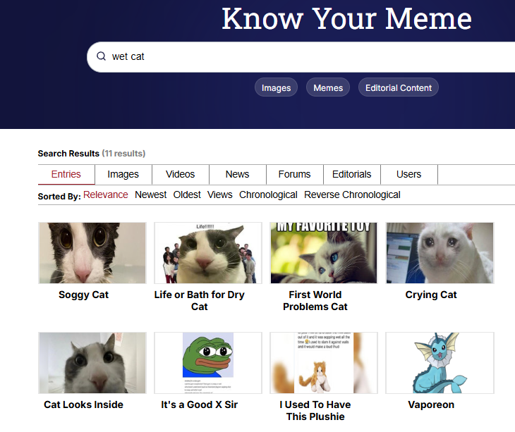 idevmemes1's tweet photo. This video of a wet cat is going giga viral with 1.8M likes in 2 days on Tiktok: https://t.co/78105F0ewC

Look in the comments. Literally everyone is comparing this meme to the mega viral wet owl meme. 

The cat has no name so we should just call it Wet Cat, just like Wet Owl.

Also, this has so much potential, if you look at knowyourmeme, there is not yet a Wet Cat meme listed, but every wet animal starts with wet like wet koala and wet owl.

THIS IS FREE NO?

WETCAT.