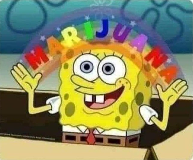 fw_Neon's tweet photo. Why are you so calm all the time?

Me: https://t.co/lJX5SSzZrt
